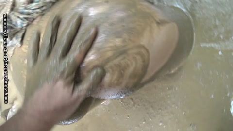 Jayce Outdoor Sex in the Mud Wam, Mud, Fetish, Covered, Messy, Wet and Messy, Clay,